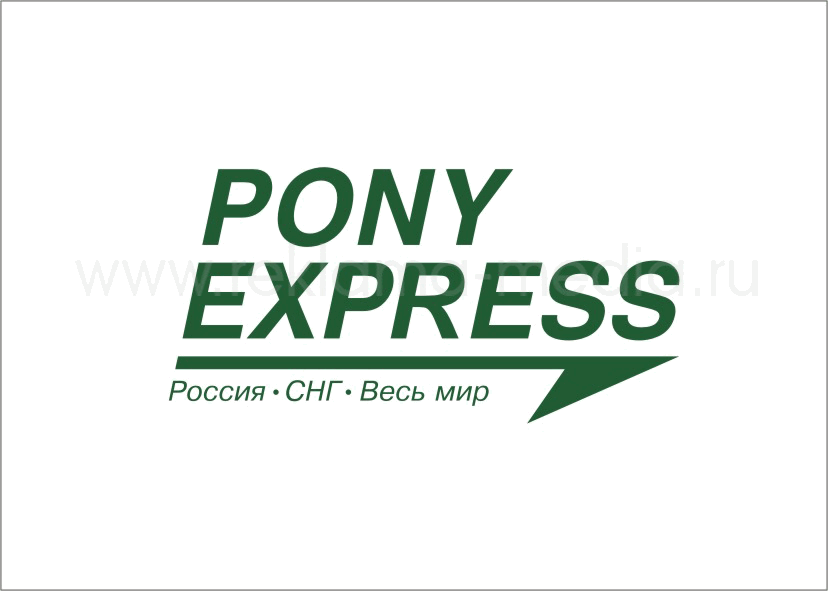 Разработка логотипа для компании по экспресс доставке грузов